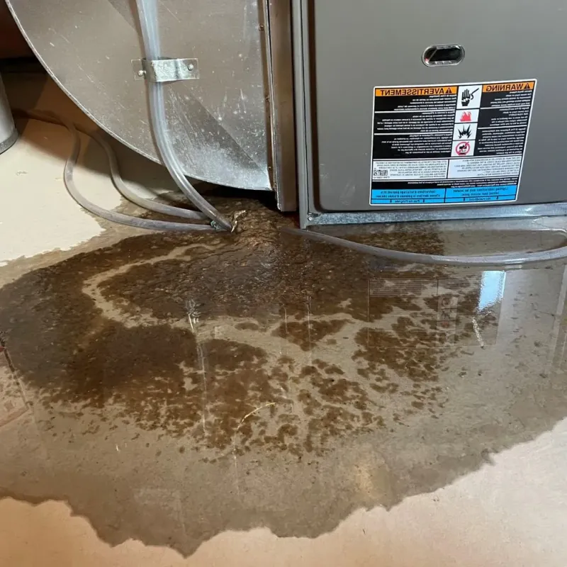 Pipe Burst and Leak Restoration in Mendon, MA